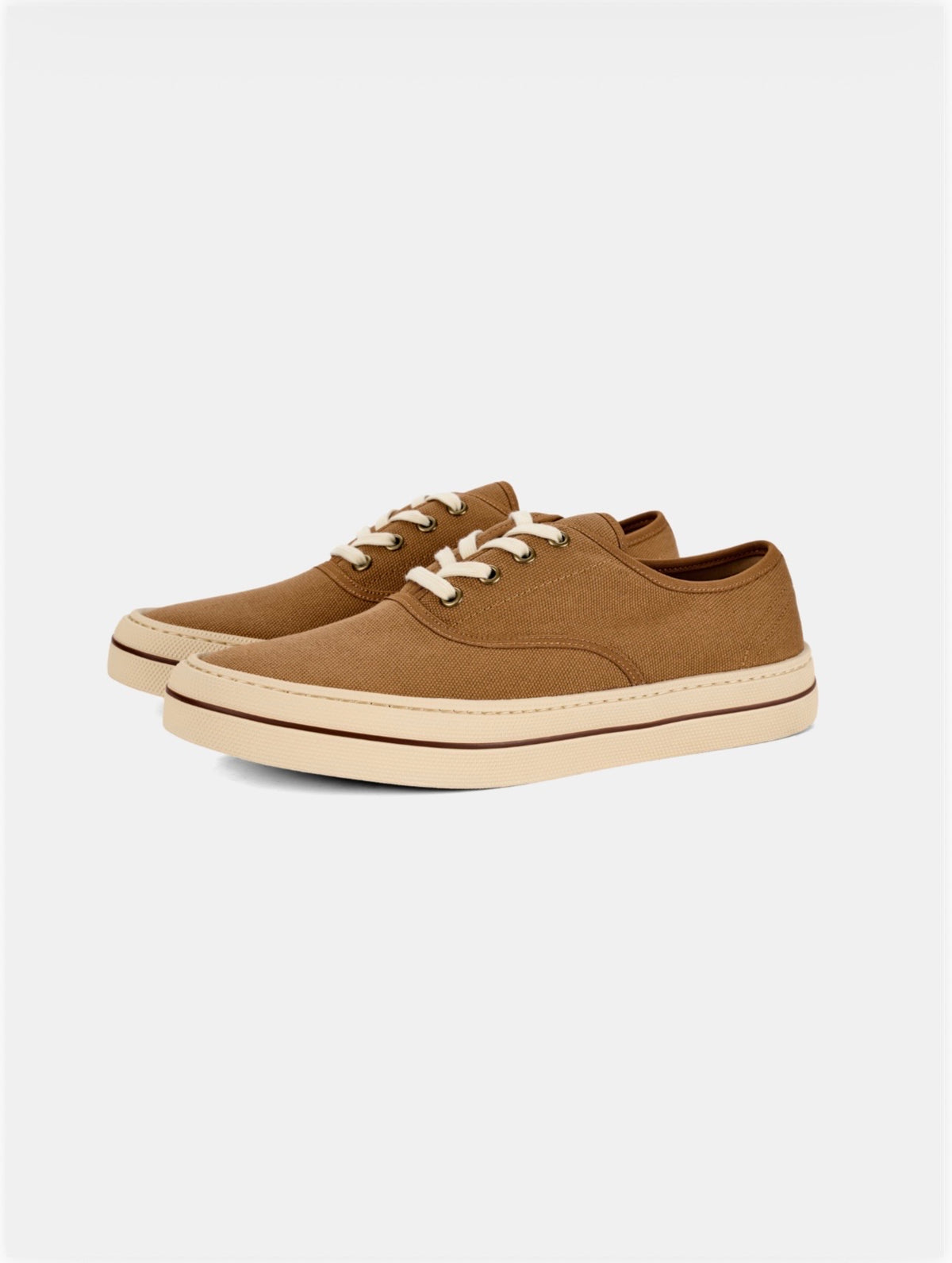 Canvas Sneakers